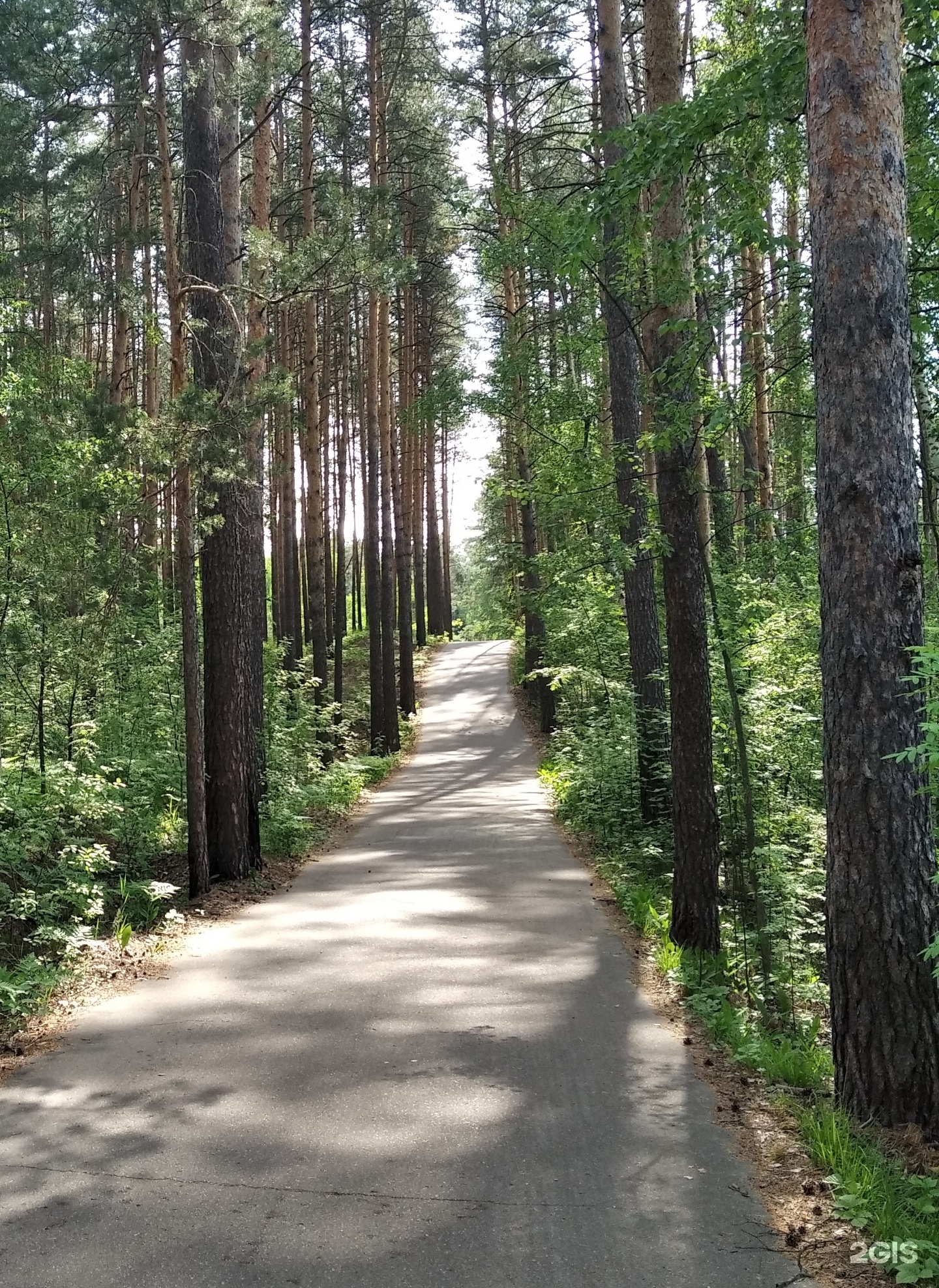 Маяк, спортивно-оздоровительный комплекс, Рогачёва, 34Б, Зеленодольск — 2ГИС