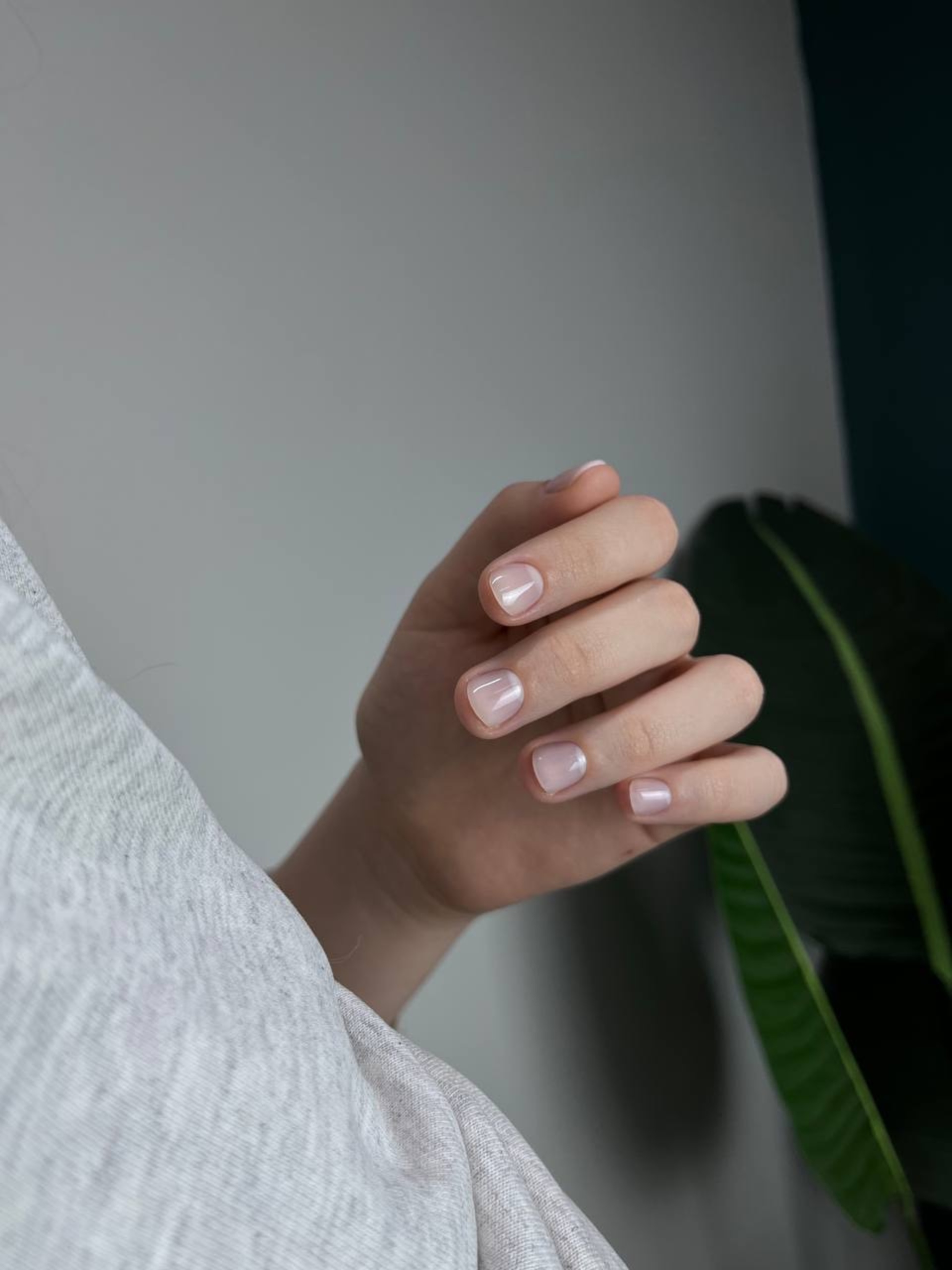 French zona manicure, улица Чернышевского, 22, Пермь — 2ГИС