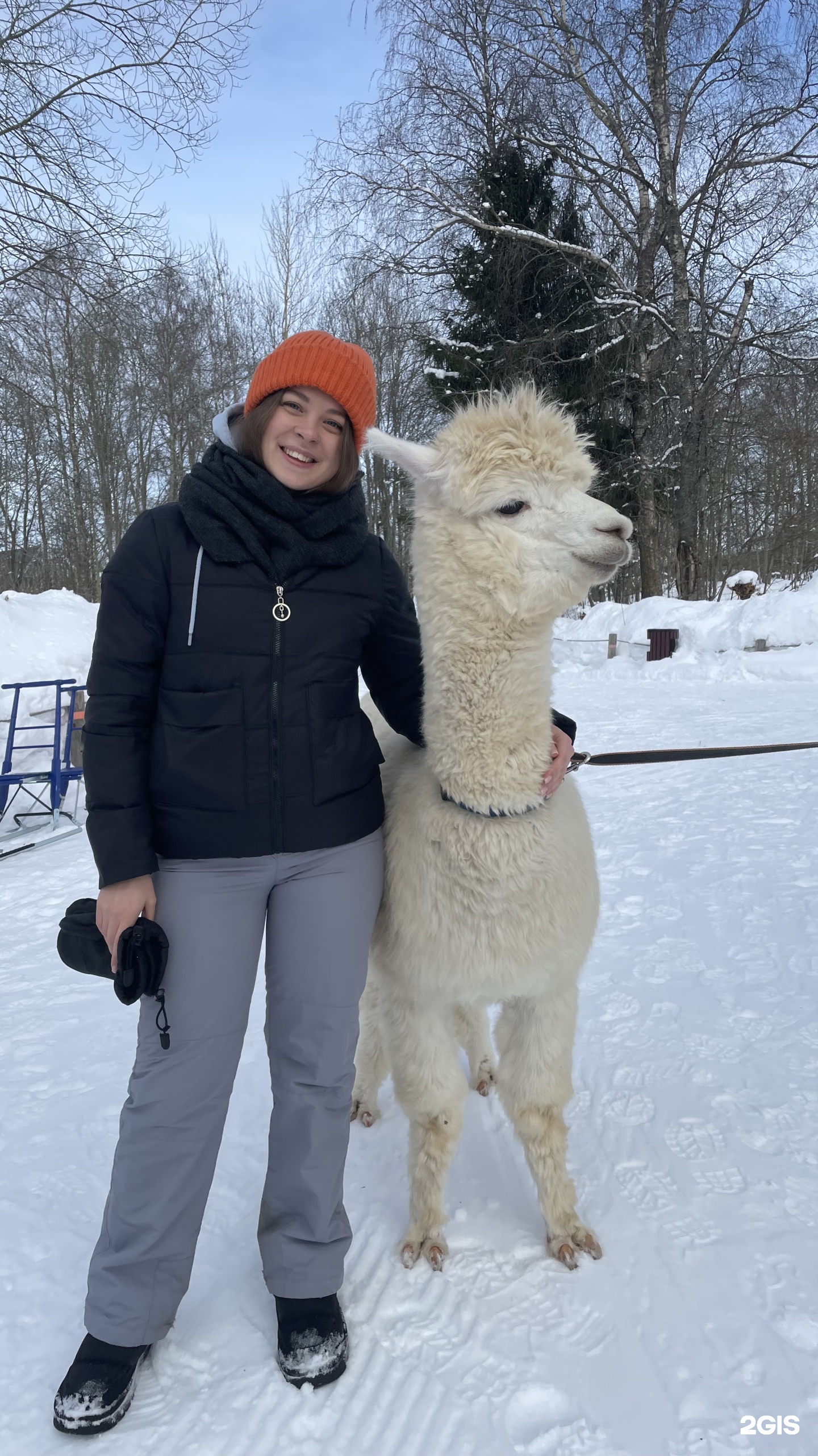 Озорные белки, гостевой комплекс, улица Новопетровская, 60, пос. Симагино —  2ГИС