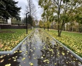 Дубки: отзыв от Сергей Коротков