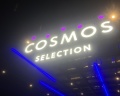 Cosmos Selection Moscow Sheremetyevo Airport Hotel: отзыв от Наталья Горак