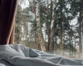 Лесной привал: отзыв от Ekaterina T
