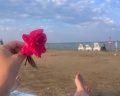 Villa Victoria: отзыв от Наталья Брусова