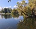 Главный ботанический сад: отзыв от Дмитрий Шабалин