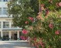 Garden Resort: отзыв от Дмитрий Пронских