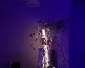 Mushroom24: отзыв от Олеся Васенёва