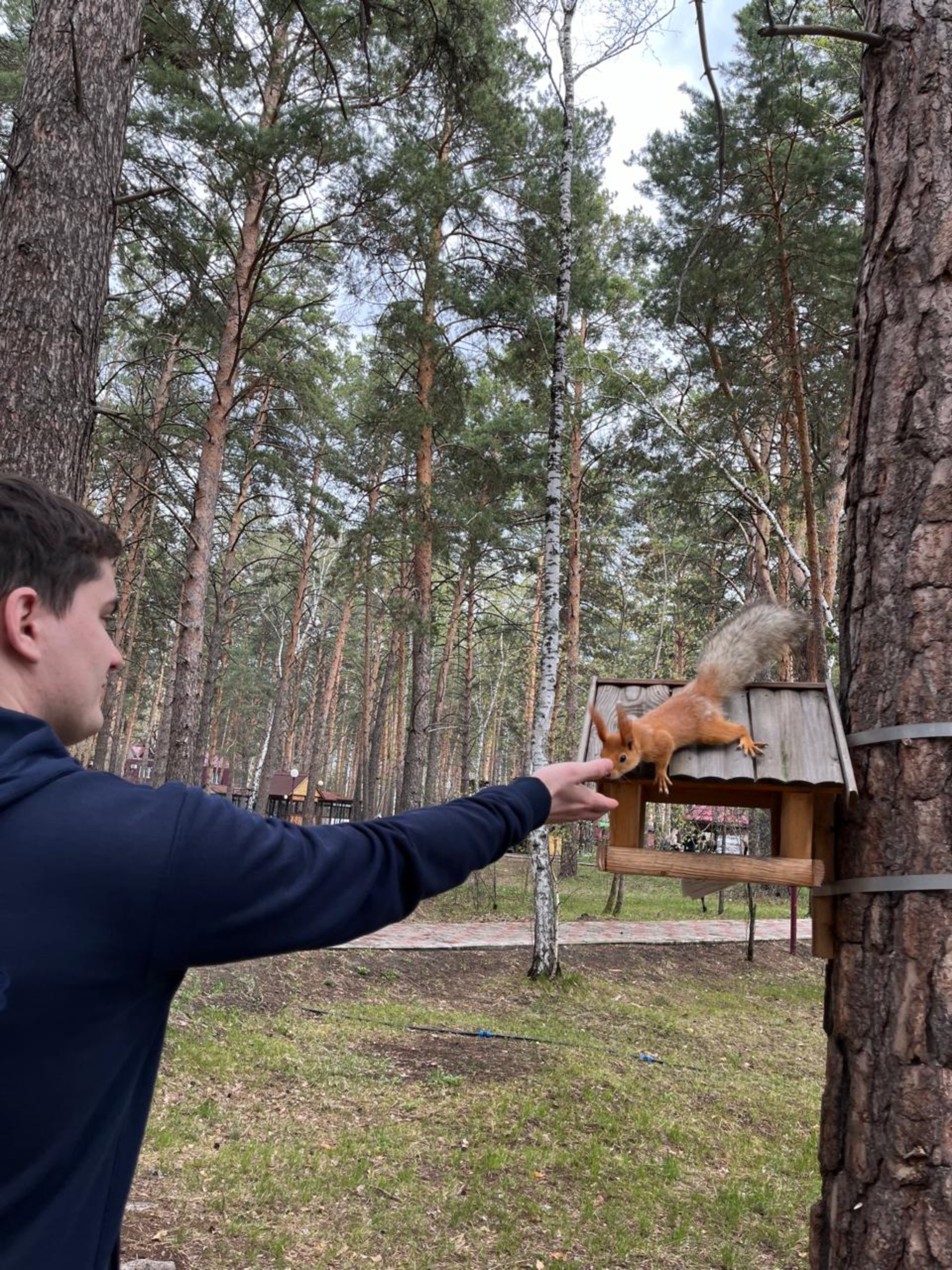 Сказка, загородный отель, улица Курортная, 1а, дп. Чернолучинский — 2ГИС