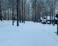 Green village: отзыв от Кристина Улей