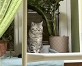 БМ Хостел Великий Новгород: отзыв от Евгений Пресняков