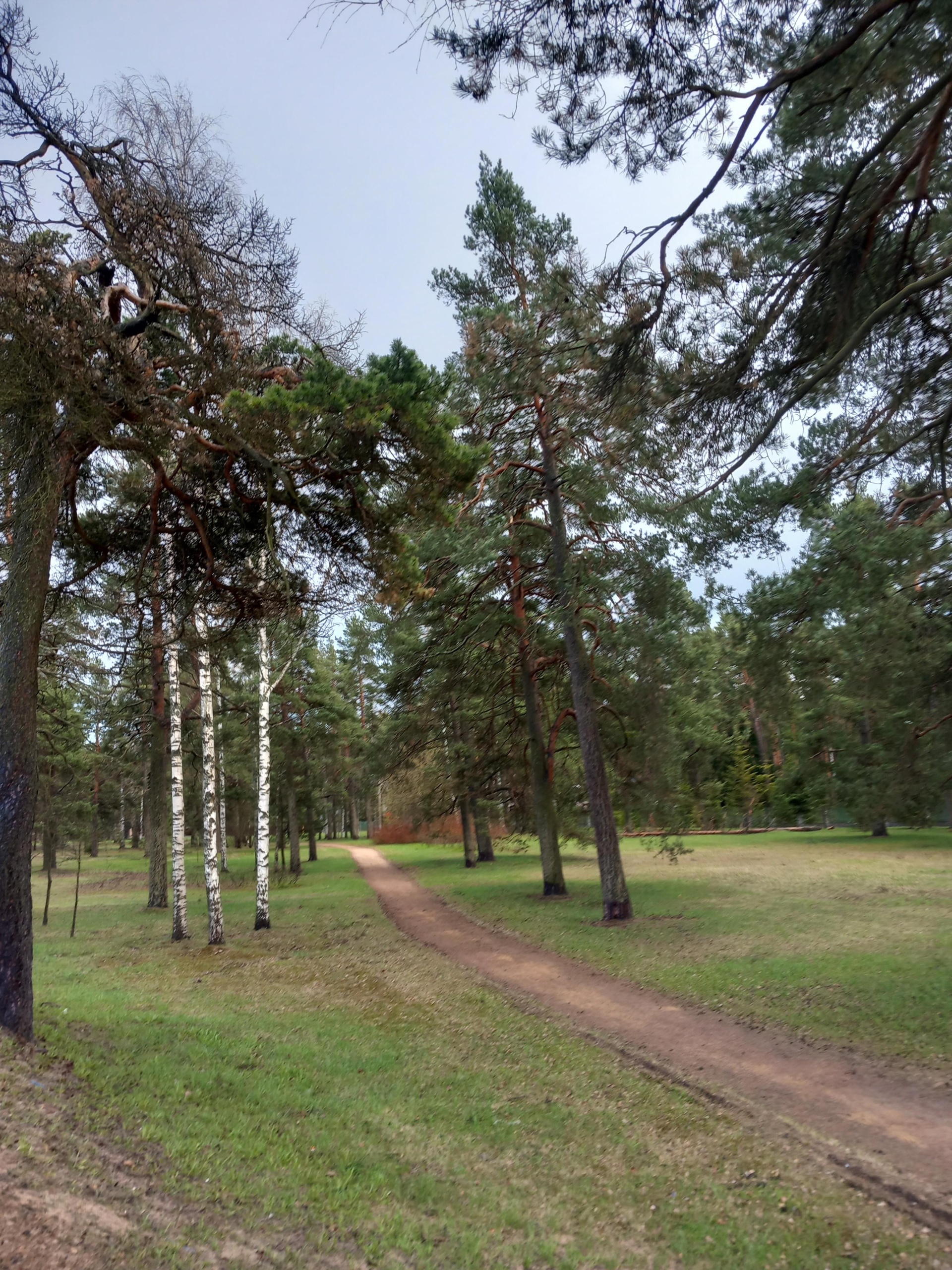 Комарово, дом отдыха и творчества, Лейтенантов, 31, Санкт-Петербург — 2ГИС