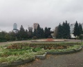 Дендропарк: отзыв от Николай Хрусталев