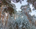 Сказка: отзыв от Олег Кретов