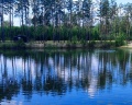 Хвойный берег: отзыв от Алена Конюхова