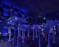 Аннекирхе: отзыв от Tarantin