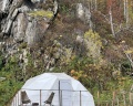 Горыныч: отзыв от Виолетта Резанова