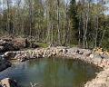 Forester: отзыв от Юлия Каратаева