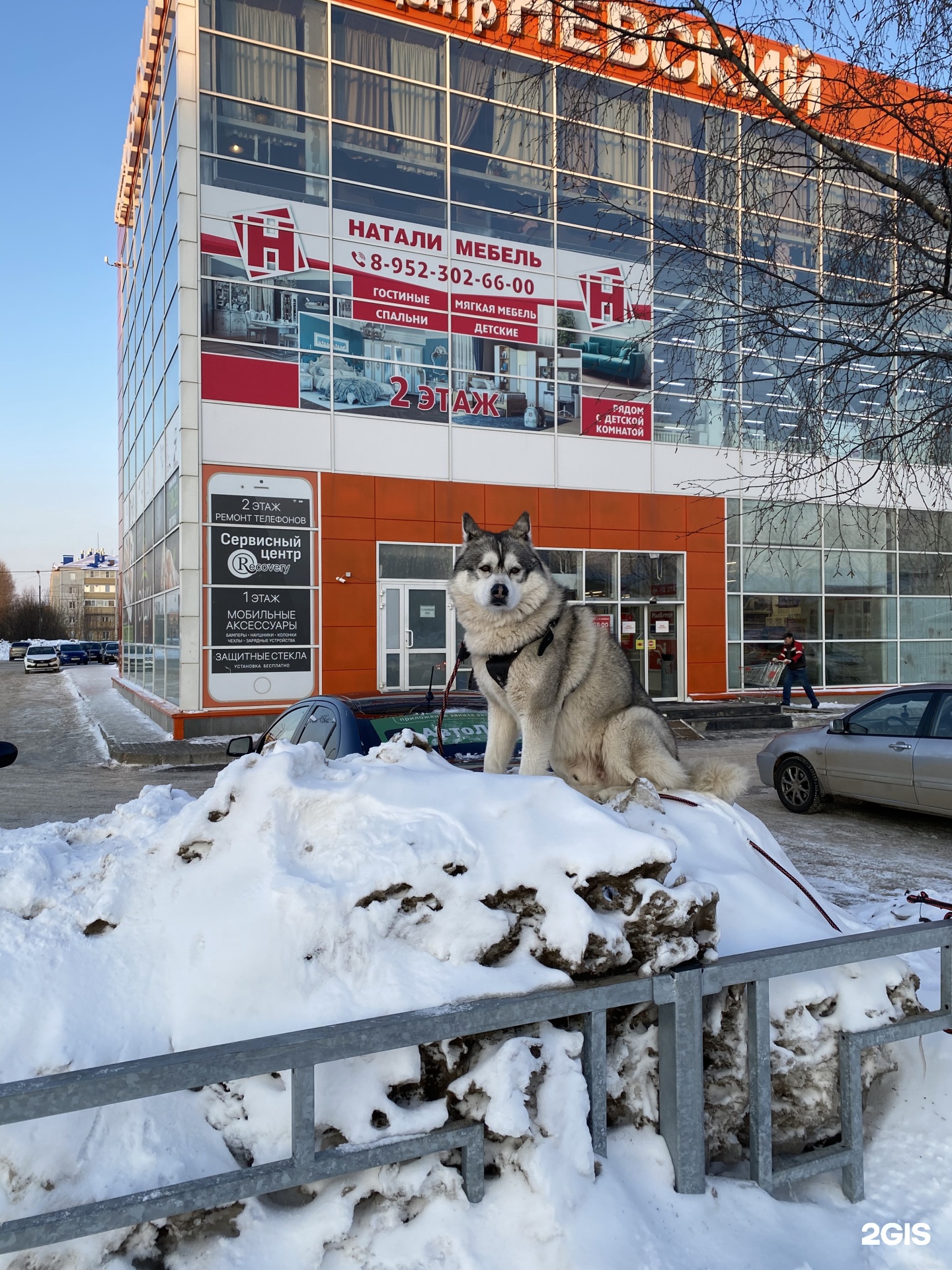 Котлас: карта с улицами, домами и организациями города — 2ГИС