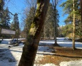 Архыз-resort: отзыв от Вероника Гуторова