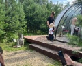 Зайка лес: отзыв от Кристина Гришанова