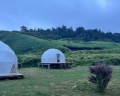 Kuril Glamp: отзыв от Кристина Шкодина