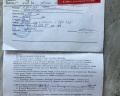 Старый лис: отзыв от Аделина Хайруллина