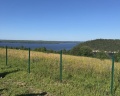 Хохловка: отзыв от Александра Габова