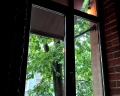 Tuchkov hotel: отзыв от Анжелика Венслова