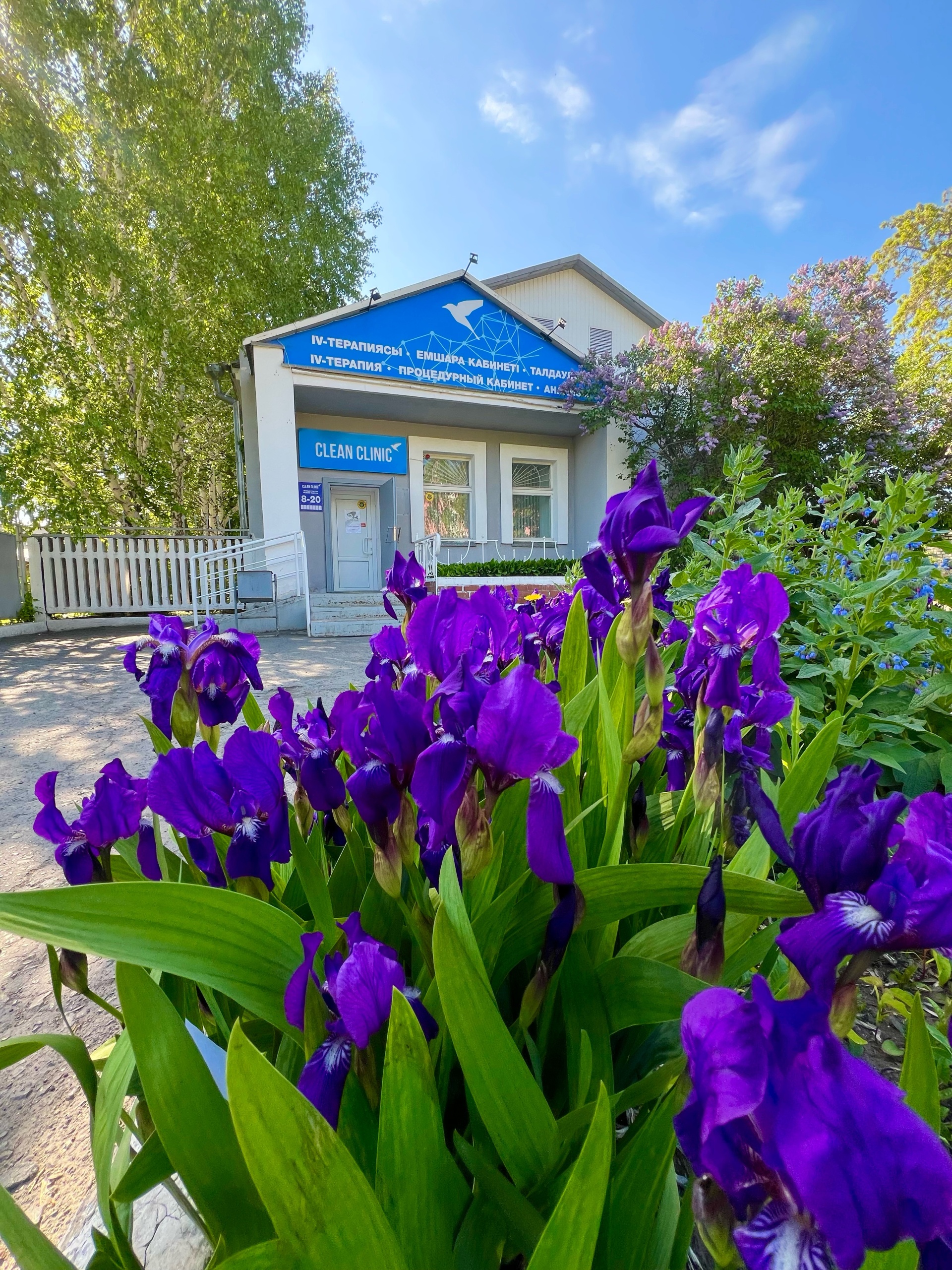 Clean Clinic, клиника инфузионной терапии, улица Токсан би, 37,  Петропавловск — 2ГИС