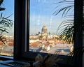 Амбассадор: отзыв от Елена Свиридова