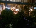 Приморье Grand Resort: отзыв от Наталья Шинкарева