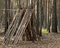 Сота-парк: отзыв от Елена Черных