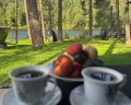 Релакс_Телецкое: отзыв от Лариса Акулова