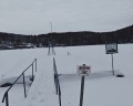Кедровый бор: отзыв от Городская легенда