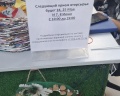 Немузей мусора: отзыв от дмитрий агапов