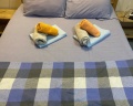 Nice hostel: отзыв от Евгений Иванов