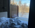 Шышки: отзыв от Светлана Светлана