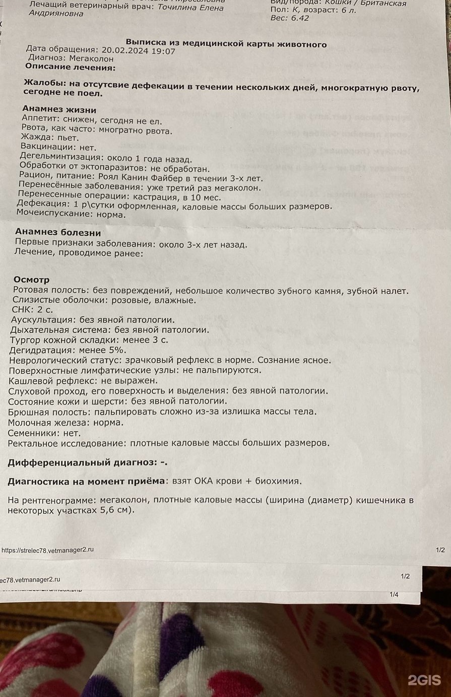 Стрелецкий ветеринарный госпиталь, переулок Королёва, 23г, с. Стрелецкое —  2ГИС