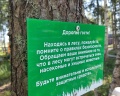 Мох: отзыв от Георгий Карелов
