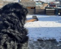 Гостевой дом Даниловых: отзыв от Ирина Иванова