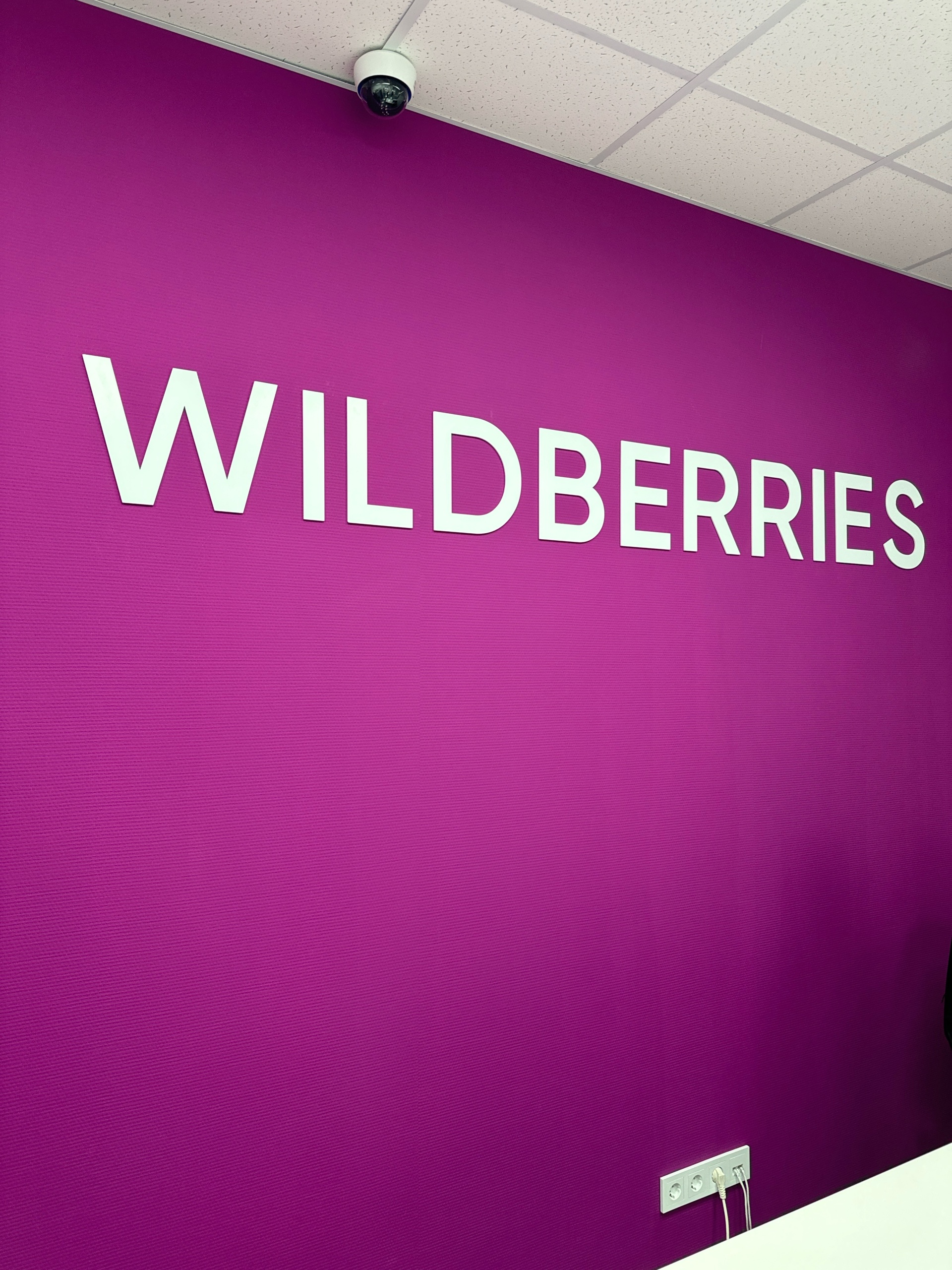 Wildberries, пункт выдачи товара, улица Василия Жуковского, 9, Киров — 2ГИС