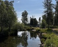 Village Hvoya: отзыв от Дарья Ускова