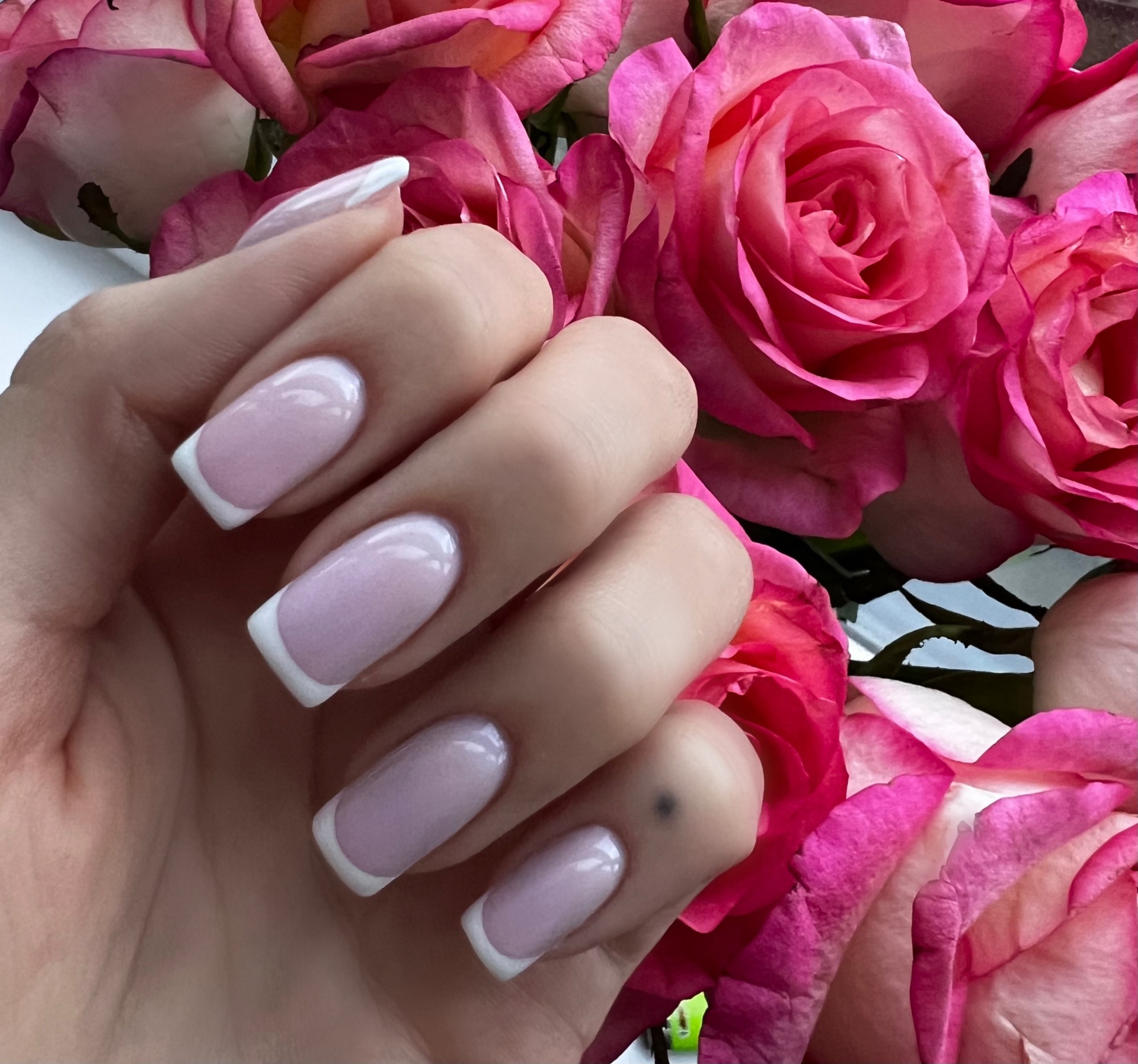 Spletnica nails, студия маникюра, улица Гастелло, 12, Сочи — 2ГИС