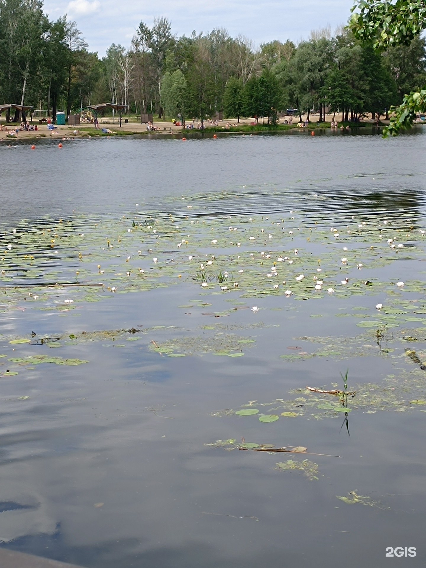 Центральный городской пляж, Липецк, Липецк — 2ГИС