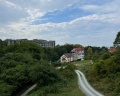 Золотой Лев: отзыв от Игорь Лыткин (https://Lytkins.ru)