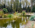 Романов Лес: отзыв от Анастасия Чернова