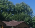 Sofia Spa Resort: отзыв от Елена Елена