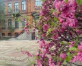Парус: отзыв от Анна Соколова