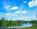 ForrestHome: отзыв от Александр Сотников