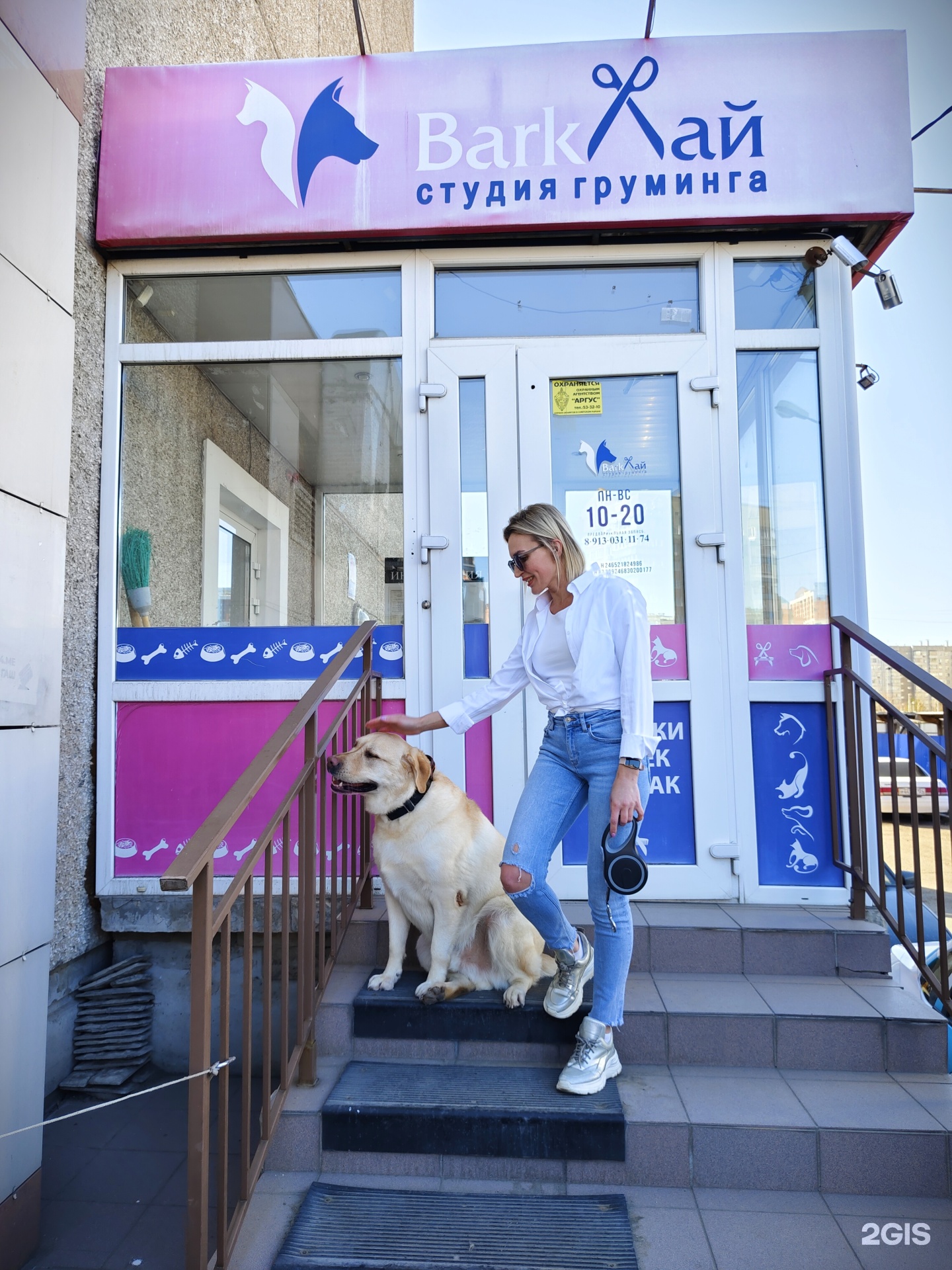 BarkЛай, студия груминга, улица Молокова, 40, Красноярск — 2ГИС