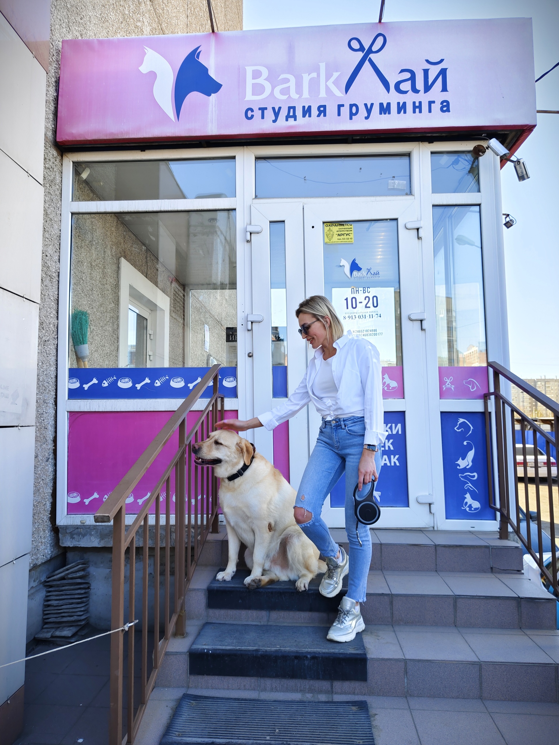 BarkЛай, студия груминга, улица Молокова, 40, Красноярск — 2ГИС